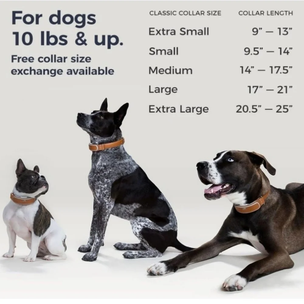 NEW OPENED BOX LINK AKC SMART DOG GPS COLLAR SMALL - 9 1/2
